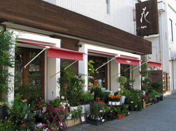 「瑞穂千樹園」　（愛知県名古屋市瑞穂区）の花屋店舗写真1